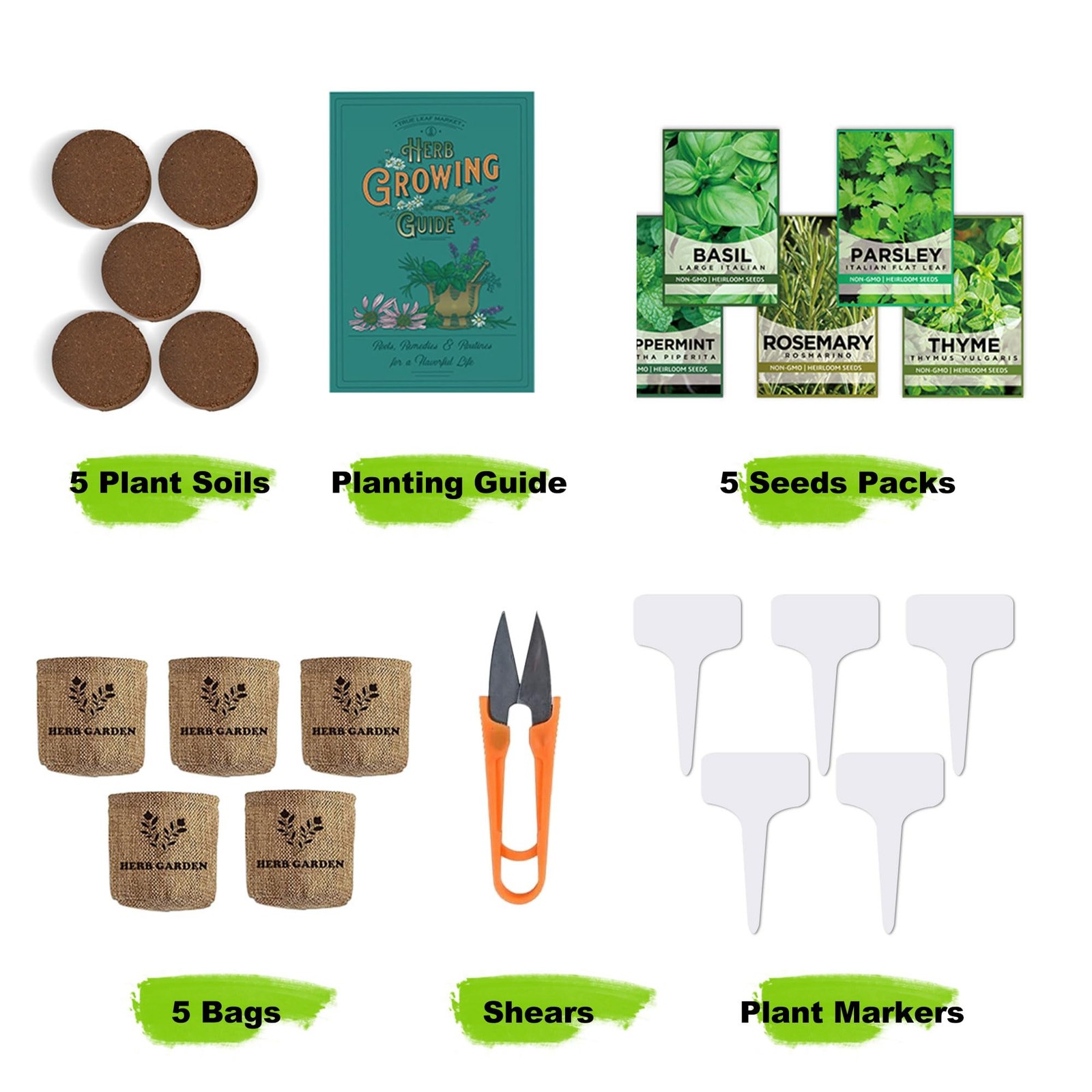 5 Herb Indoor Starter Kit, Complete Planting Set for Kitchen Herb Garden DIY …