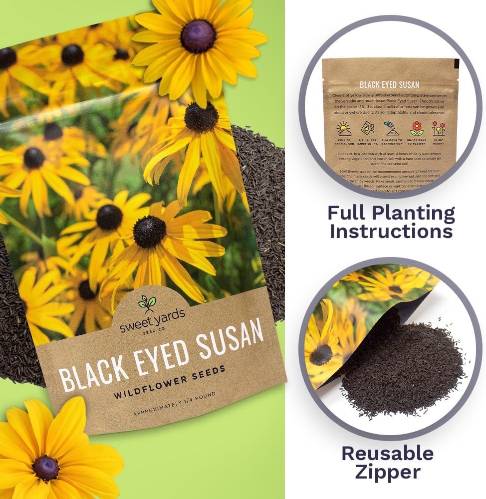Black Eyed Susan Seeds – Bulk Quarter Pound Bag – Over 400000 Open Pollinated
