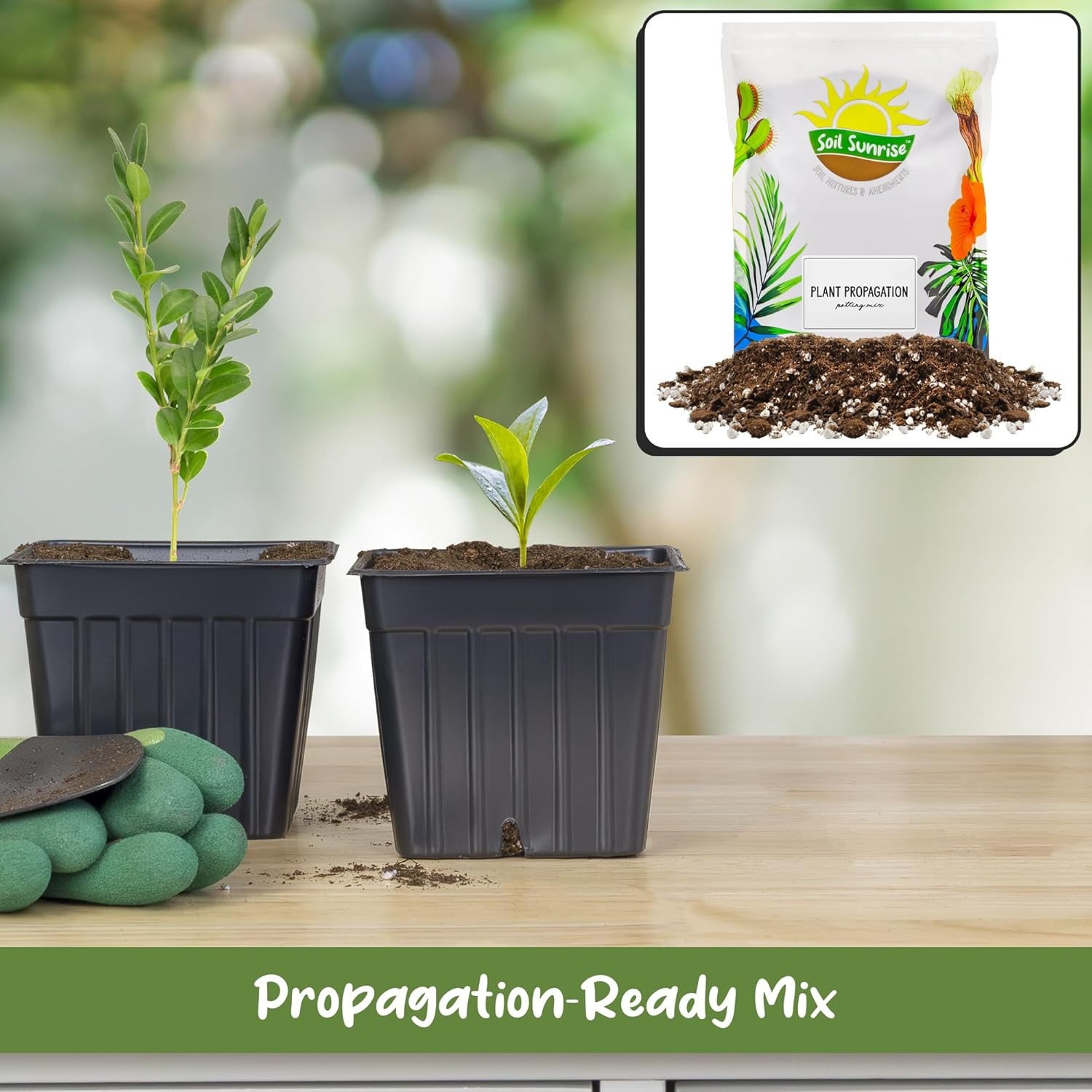 Plant Propagation Potting Mix (4 Quarts); Ideal Starter for 4 Quarts