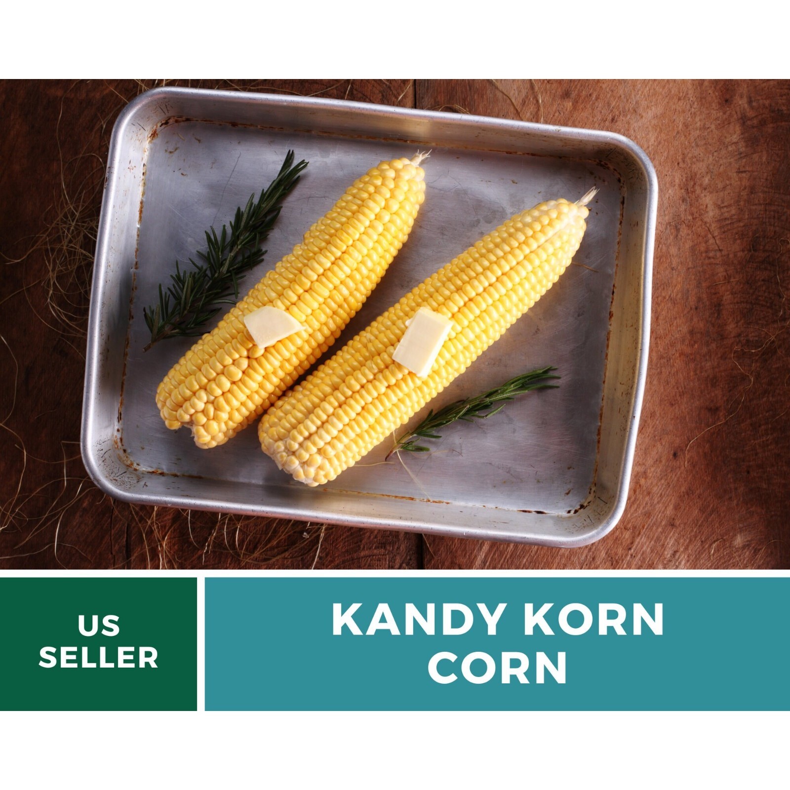 Corn, Kandy Korn – 60 Seeds – Sweet Corn – Hybrid Vegetable – Non-GMO (Zea mays)