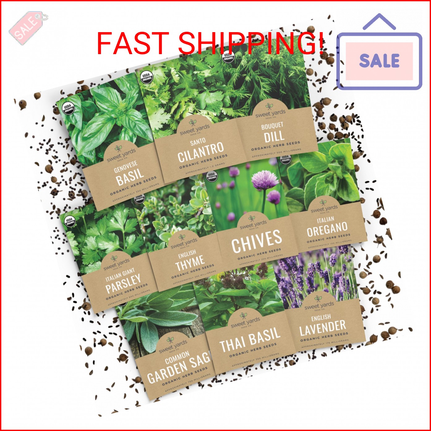 Organic Herb Seeds Variety Pack – 10 Individual Packs – 2026 Season – Basil, Cil