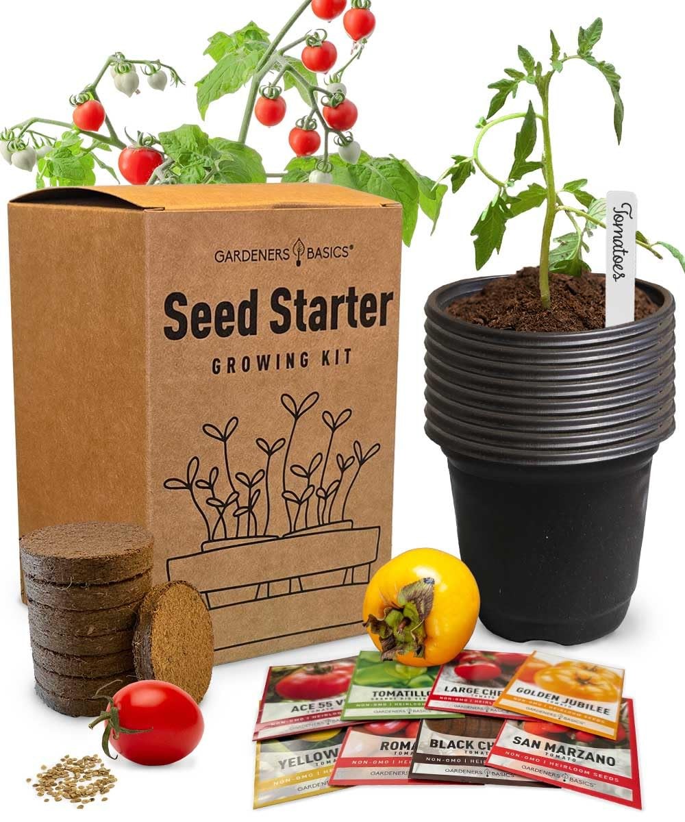 Tomato Growing Kit – Grow 8 Varieties of Delicious Red, Yellow, Purple, Green