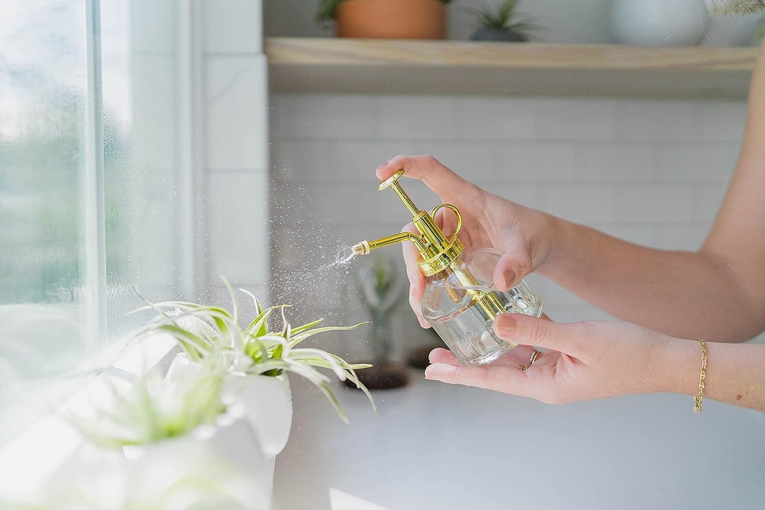 Grab Bag Small/Medium Air Plants & Fertilizer-Wholesale Tillandsia, Easy Care