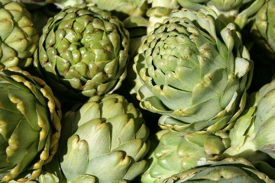 35+ Green Globe Artichoke Seeds Heirloom Artichoke Seeds NON-GMO Free Ship #91