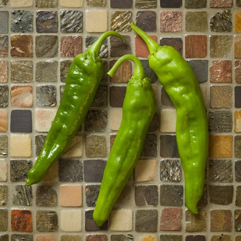 Numex Heritage 6-4 Hatch Chile Hot Pepper Premium Seed Packet + More