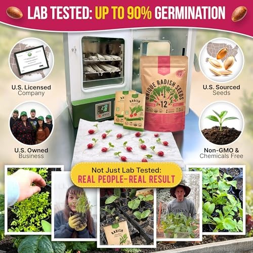 for Indoor & Outdoors 2400+ Heirloom Non-GMO 12 Radish Seeds Variety Pack