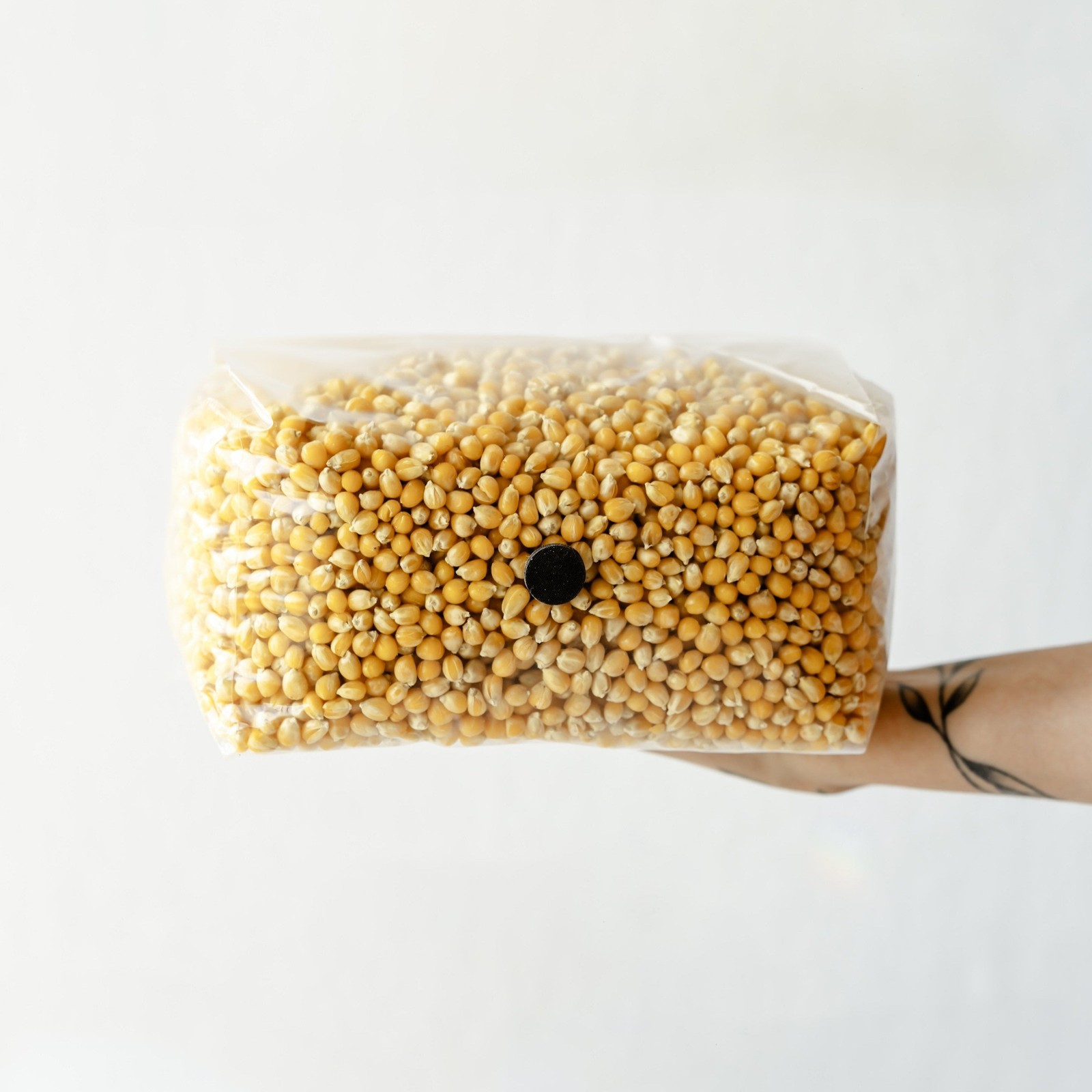 3 Pack | 5lb Drippy Corn Grain Spawn