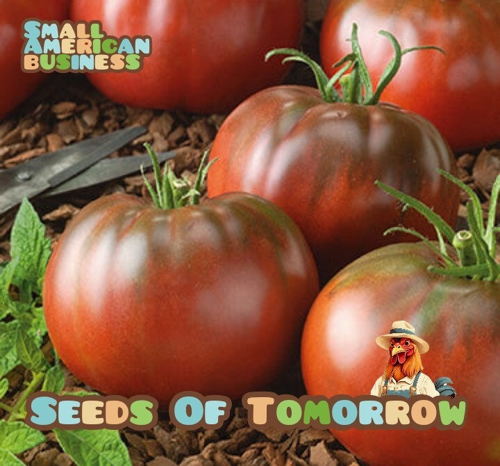 45 Organic Non-GMO Black From Tula Tomato Seeds- Seeds Of Tomorrow