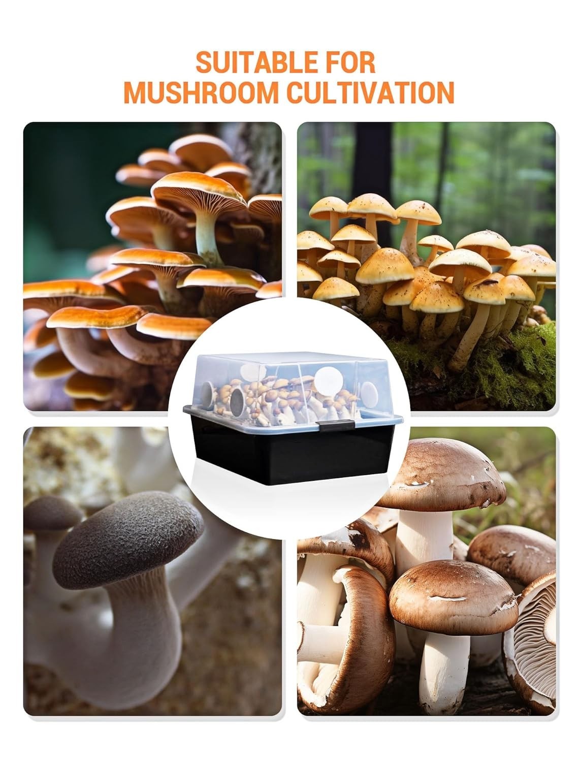 2.5″ Monotub Adhesive Filter Pads – 24 Pack for Fresh Mushroom Growth