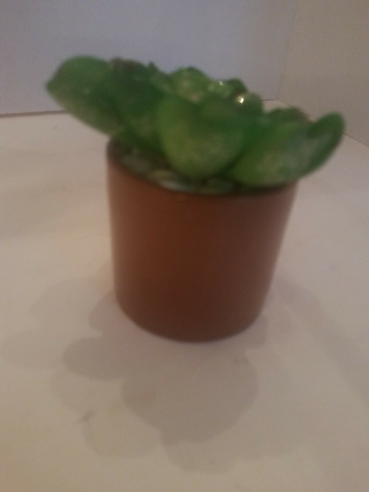 Room Retreat Artificial Floral Plant Succulent-BRAND NEW-SHIPS N 24HRS