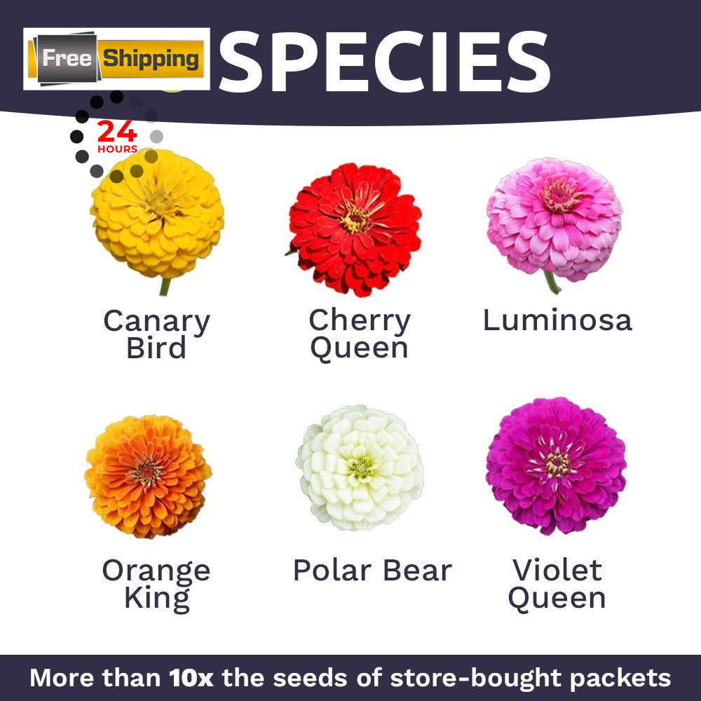 Zinnia Seeds – California Giants Mix – Large 1 1 Ounce Pouch, Multiple Colors