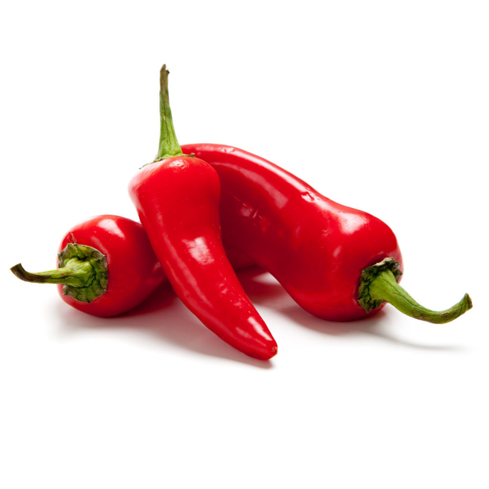 Fresno HOT Pepper Seeds | Non-GMO | Fresh Garden Seeds