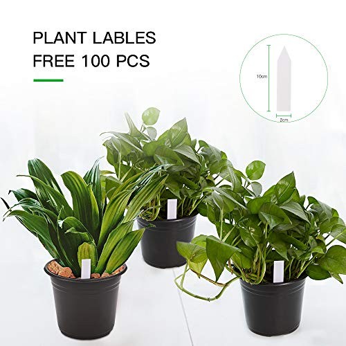 100-Pack 0.5 Gallon Plant Nursery Pots, Plastic Pots for Flower Seedling, Flower