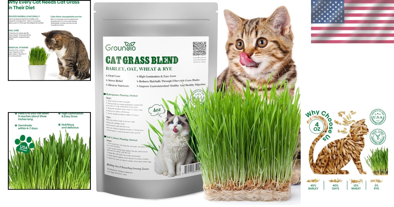 4 Ounce Indoor Cat Grass Seeds – Barley, Oats, Wheat & Rye Mix for Active Cats