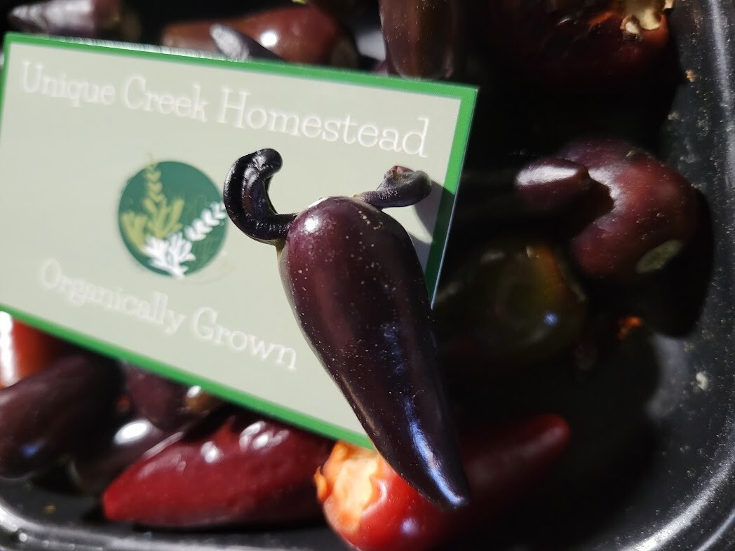 COUNT DRACULA Pepper 25-Seeds 25,000-50,000 Scoville Vampire HOT Chili Pepper