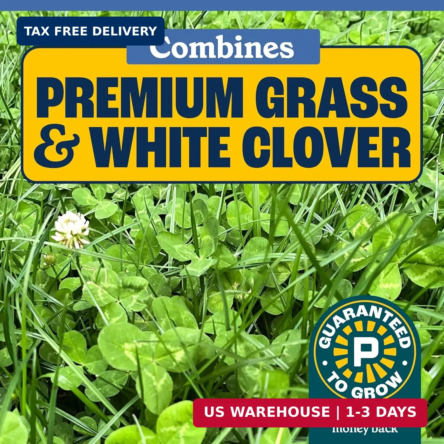 Pennington Clover + Grass Mix, Clover Seeds for Lawn, 7 LB