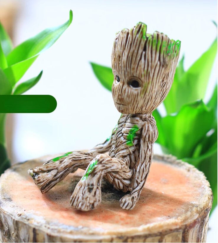 Brazilian Wood plant, Indoor Office Desktop Plant, mini Brazil Lucky Wood Decor