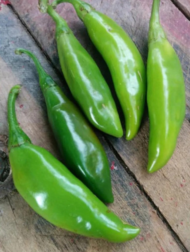 RARE✿ Heirloom Turkish Balik Hot Pepper 15 Seeds ●Great for Pickling