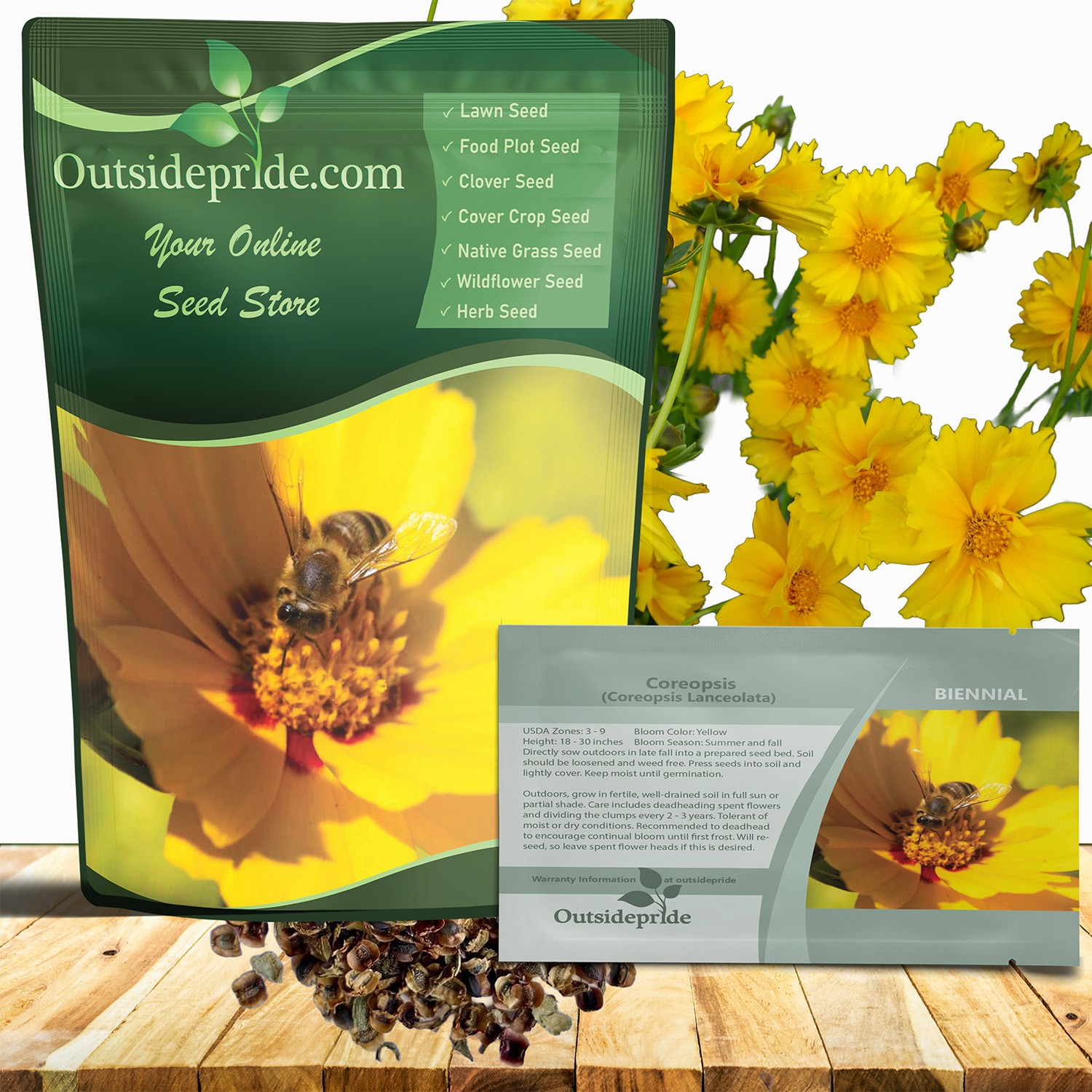 1 LB Yellow Lanceleaf Coreopsis Wild Flower Seed For Planting | Tolerant