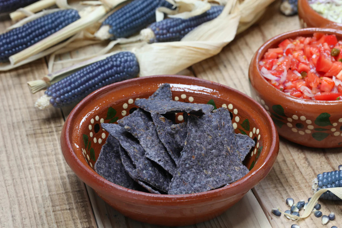 Rio Grande Blue Ornamental Corn Seeds | Hopi Azul Flint Indian Dent Seed 2024