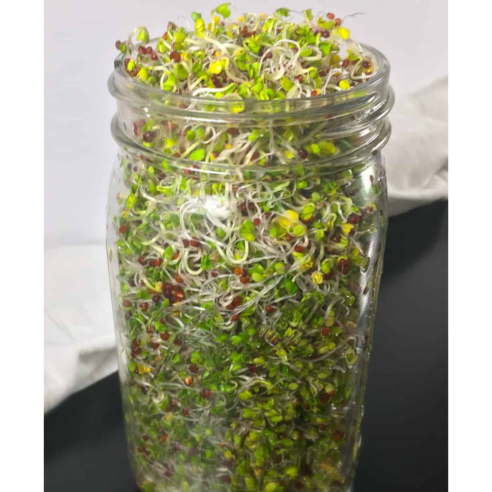 Sprouting Lid Kit w/ Broccoli Seeds | Non-GMO | Includes 2 Lids + Broccoli Seeds