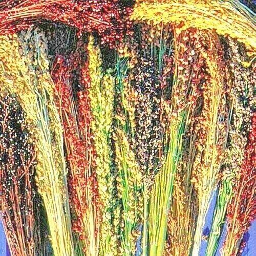 Broom Corn Seed Multi Color Crafts Home Accents Gold Red Bronze Purple Brown joc