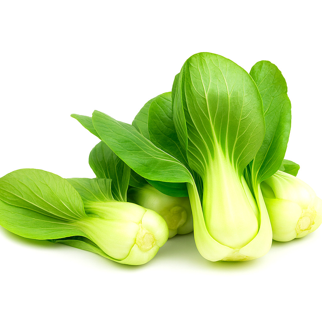 1200+ PAK CHOI SEEDS CHINESE WHITE CABBAGE BOK CHOY ASIAN VEGETABLE GARDEN USA