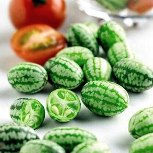 ORGANIC SEEDS 20 Cucamelon Melothria Scabra MINI WATERMELON BIO Non-GMO
