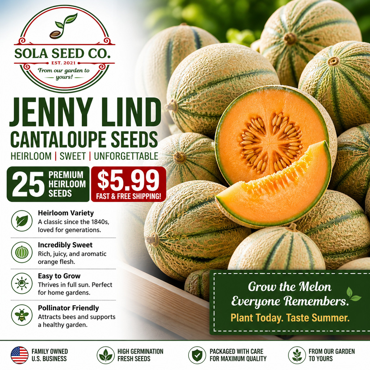 25 JENNY LIND CANTALOUPE SEEDS – FORGOTTEN HEIRLOOM SEEDS – Non GMO USA