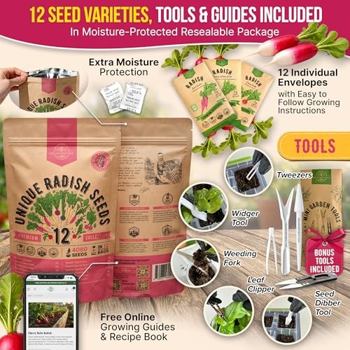 for Indoor & Outdoors 2400+ Heirloom Non-GMO 12 Radish Seeds Variety Pack