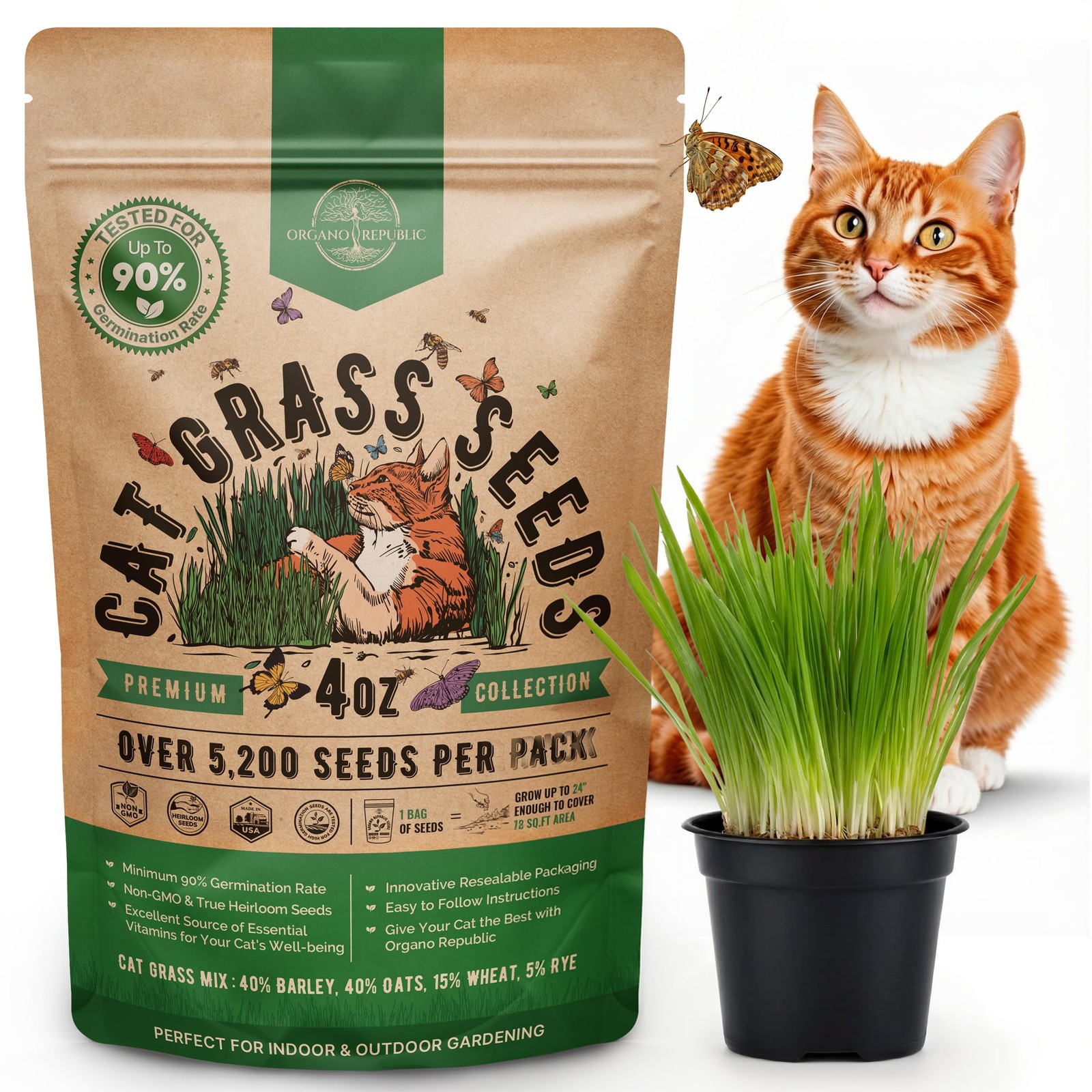 Cat Grass Seeds Mix 5,200 NonGMO Heirloom Seeds for Cats & Pets, 4 oz Pack f…