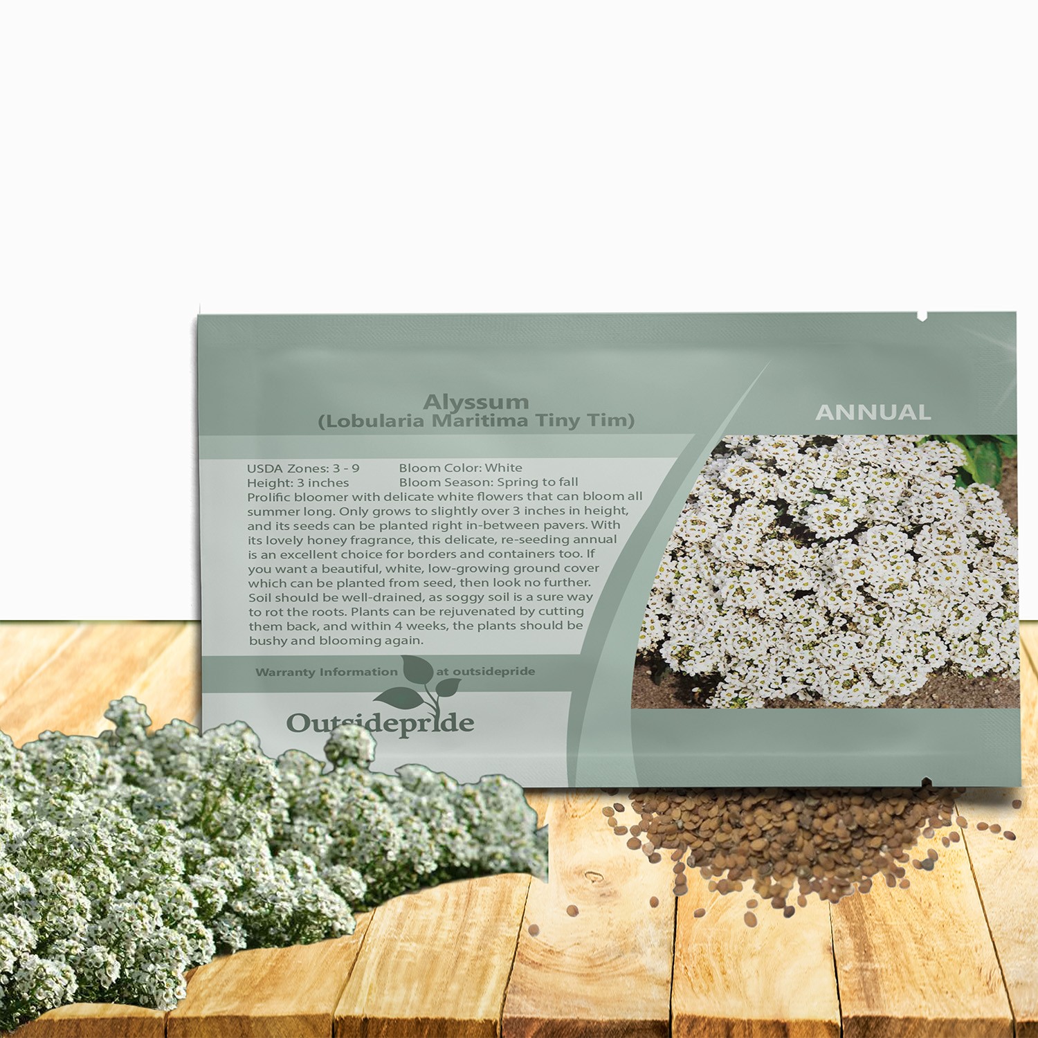 10000 Seeds Drought Tolerant Dwarf Alyssum Ground Cover Plant Tiny Tim Flower