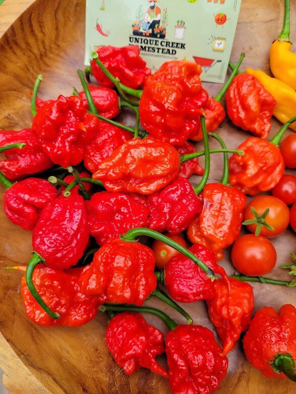 Carolina REAPER Super HOT Pepper Seeds Unique Creek Homestead Certified