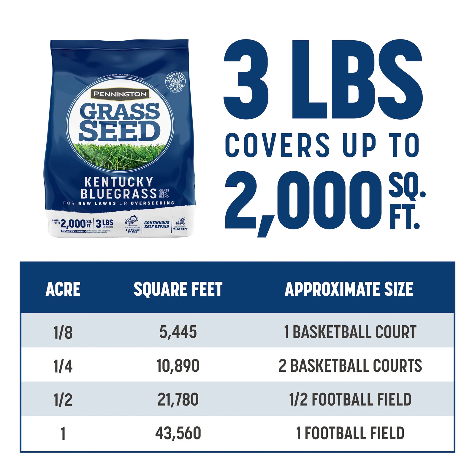 Kentucky Bluegrass Northern Grass Seed Mix, Sun Light to Partial Shade , 3 Lb.