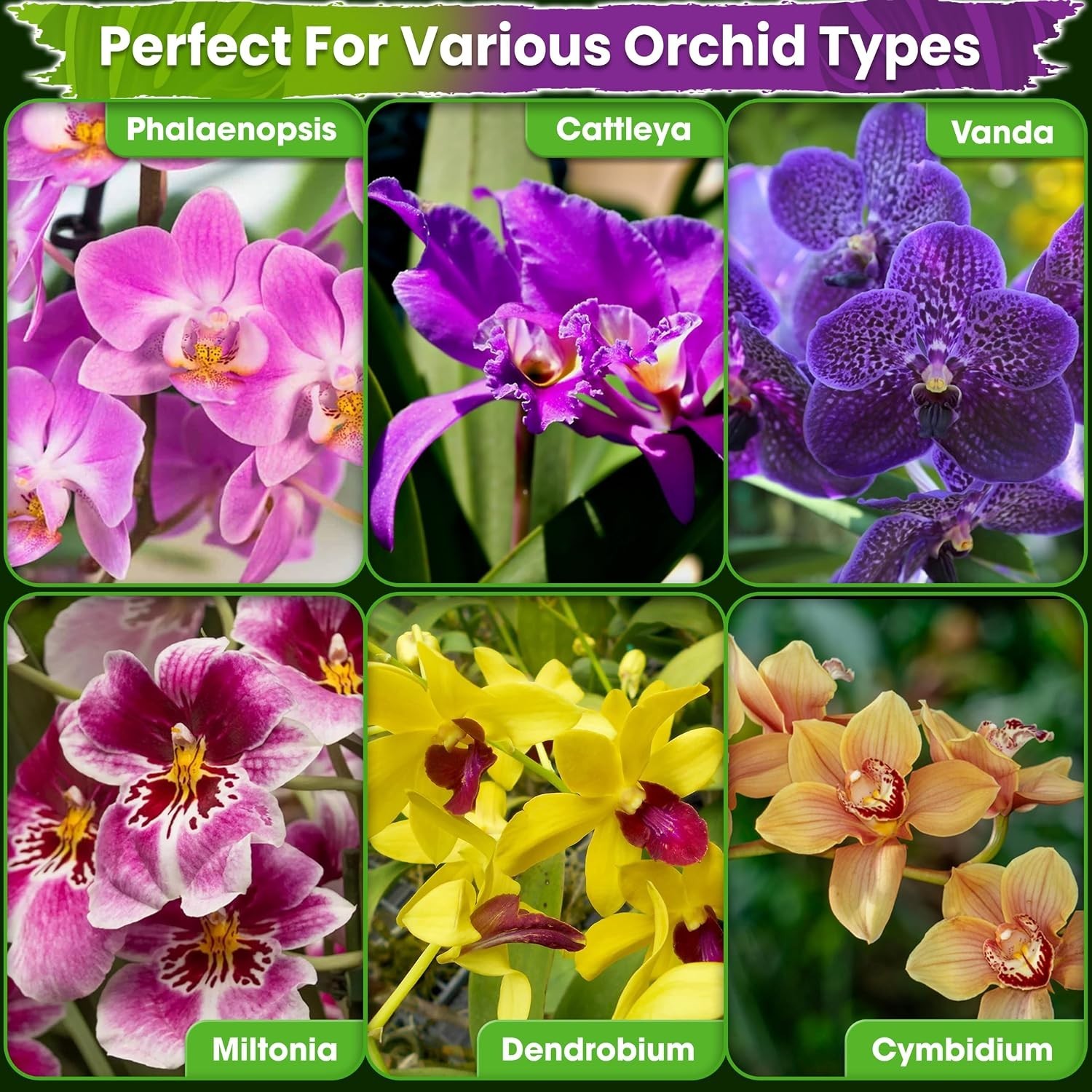 Orchid Potting Mix with Pumice & Pine Bark
