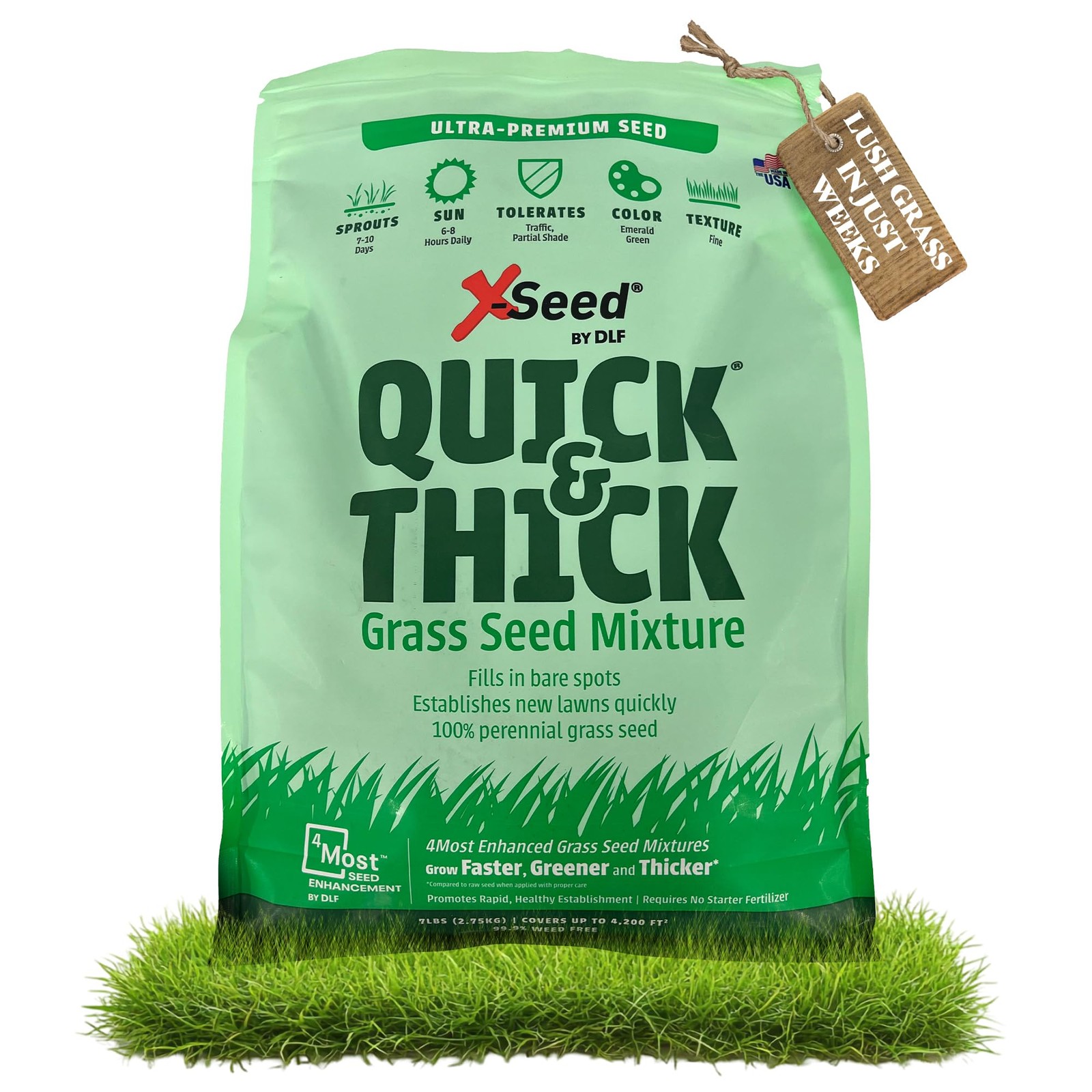 Ultra Premium Quick and Thick Lawn Seed Mixture – Rapid Germination for Any L…