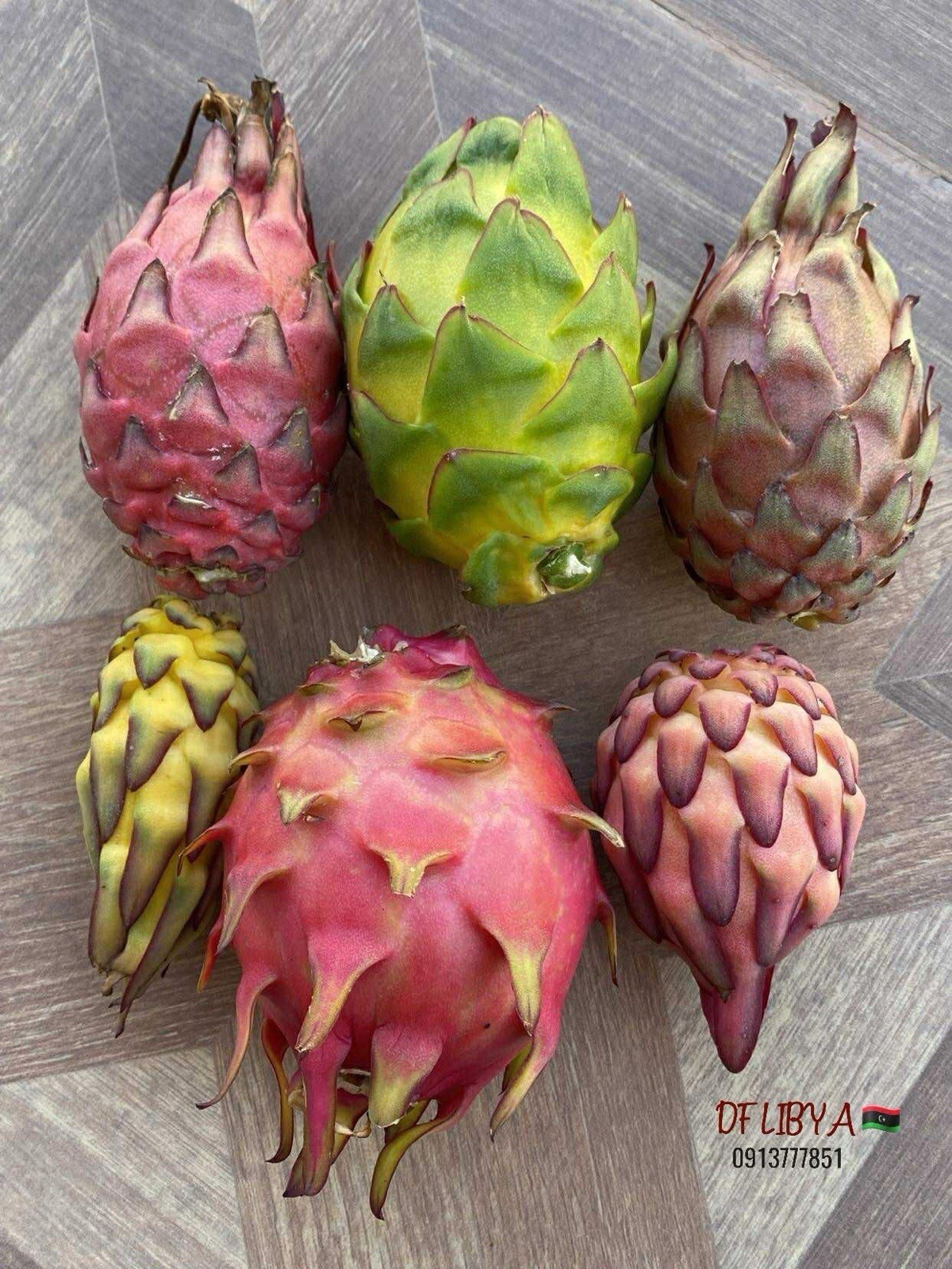 3 A5 DRAGON FRUIT CUTTING 10-12 Inches Check Description
