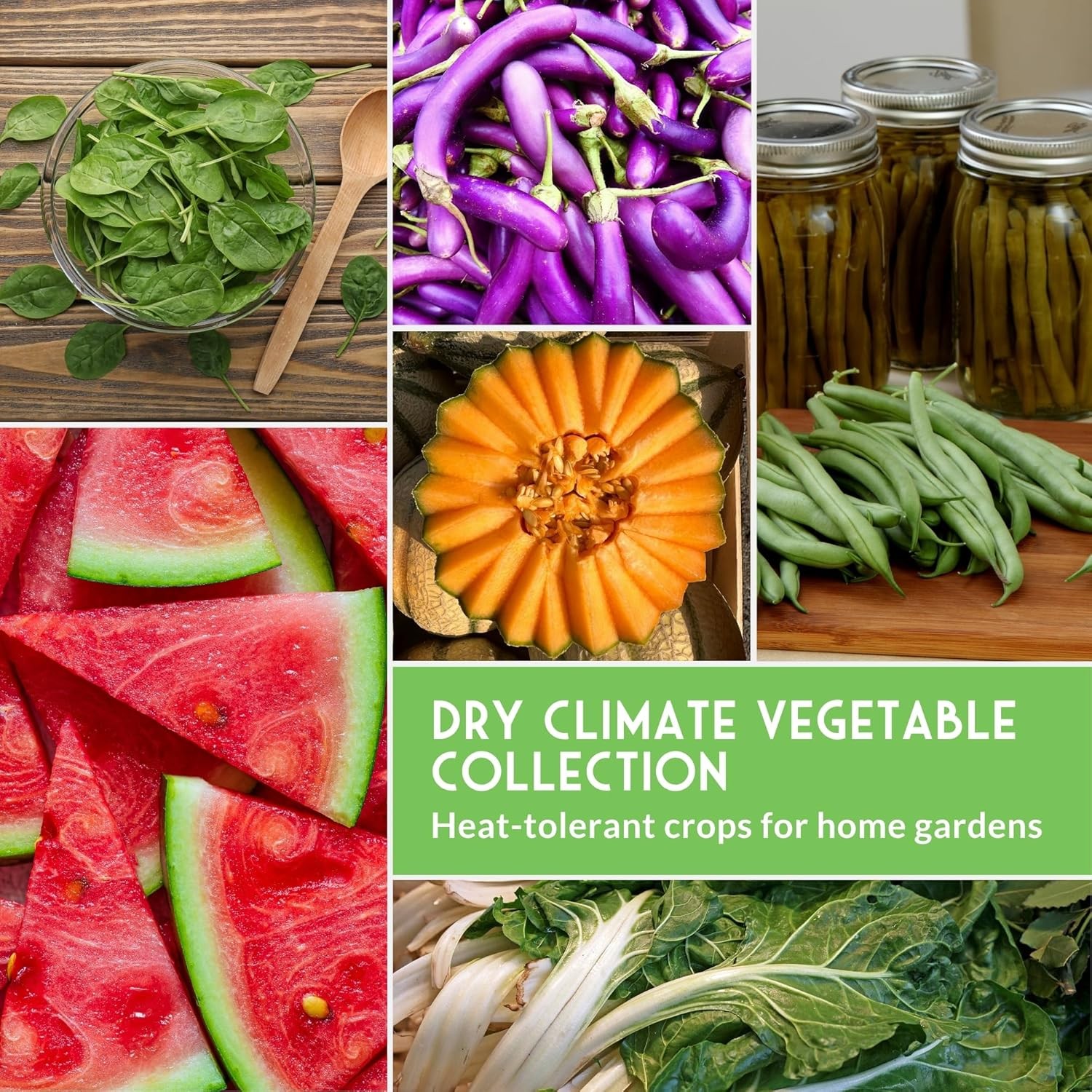 Vegetable Seeds Collection 10 Variety Heat Drought Tolerant Pack Garden