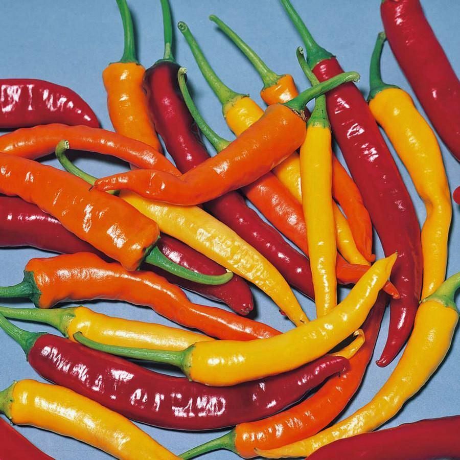 HOT PEPPER CAYENNE BLEND 10 SEEDS