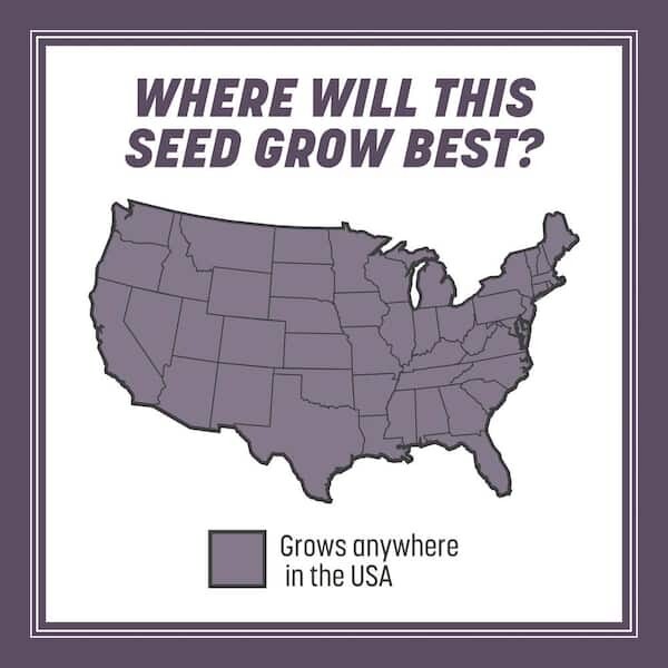 50 lb. Annual Ryegrass Seed – Covers 10,000 sq. ft., Fast-Growing Lawn