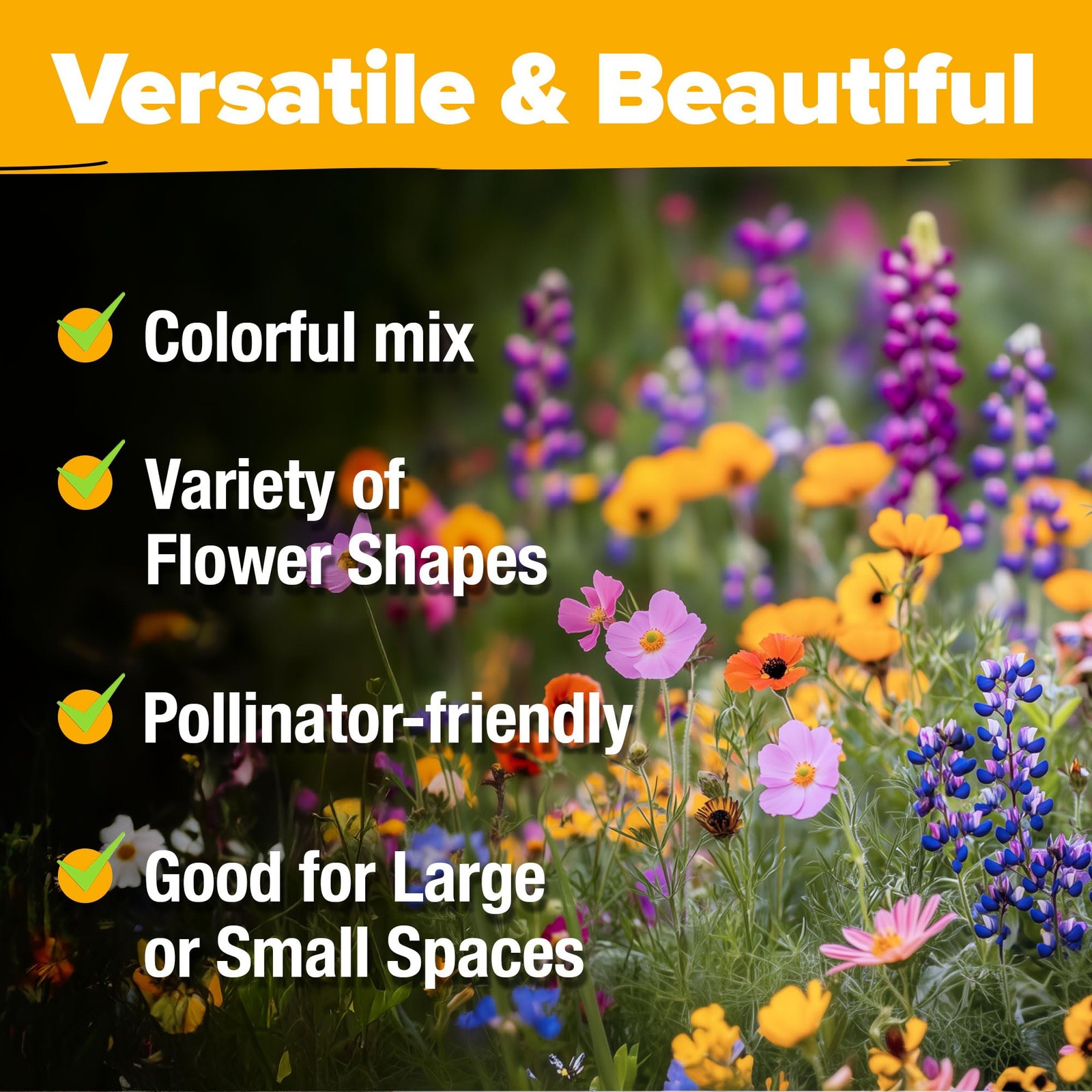 HOME GROWN Texas Wildflower Seeds 87,500+ Non-GMO Perennial 2 oz, Multi