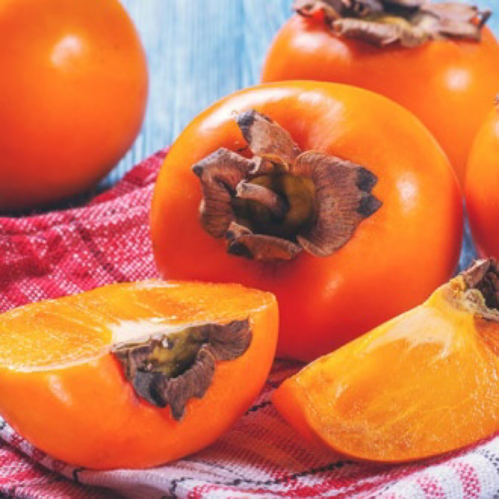 Persimmon Nikita’s Gift grafted tree (Diospyros virginiana x kaki) plant