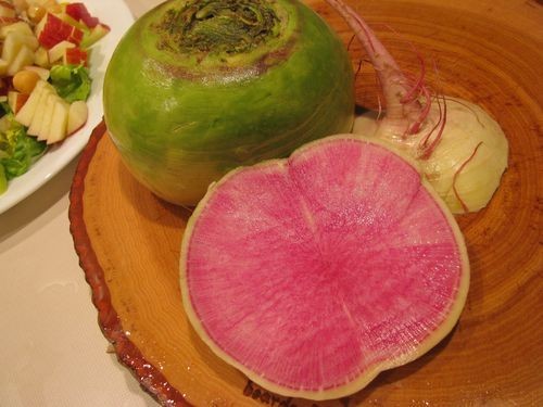 WATERMELON RADISH * 500 SEEDS * MILD * SWEET FLAVOR * ROASTED *