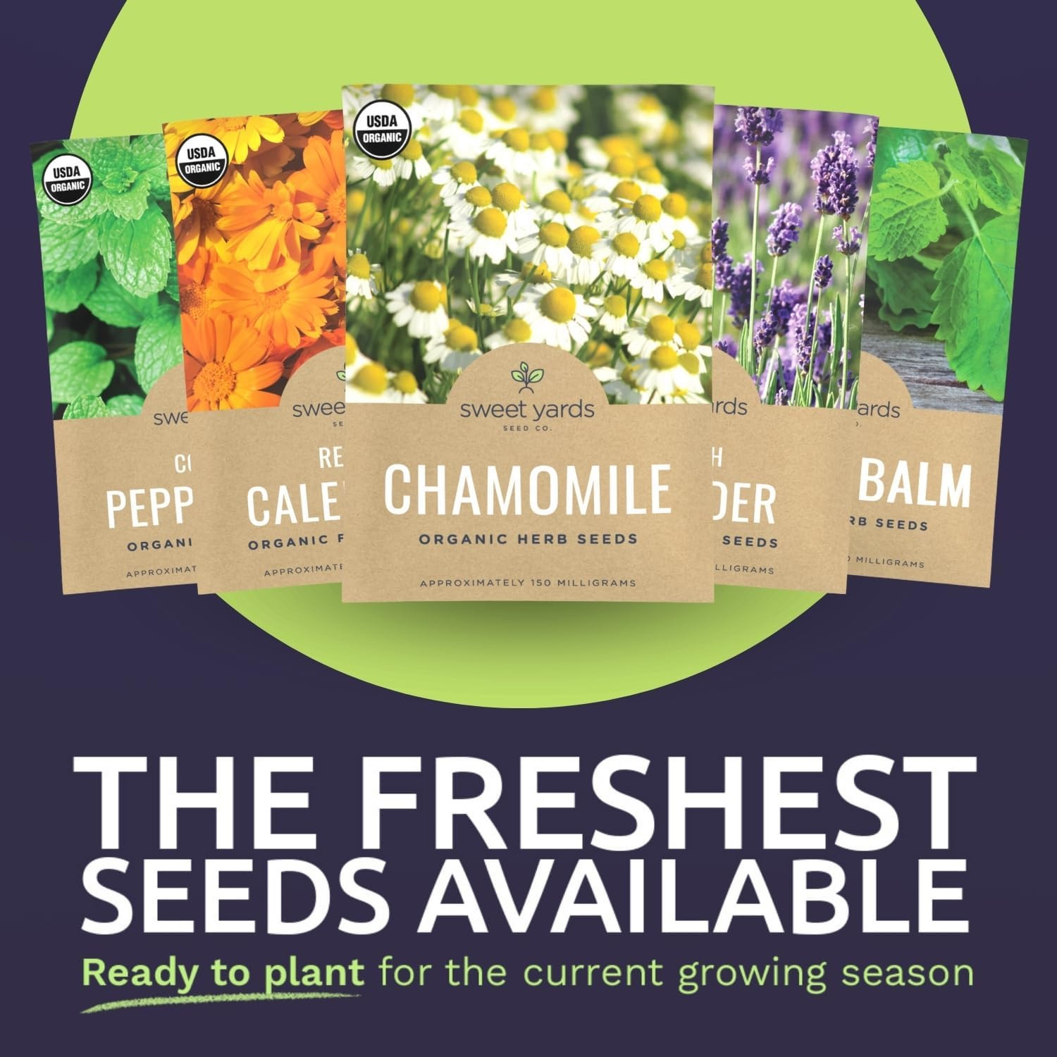 Organic Herbal Tea Seeds Variety Pack – 16 Individual Packs – 2026 Season – Mint