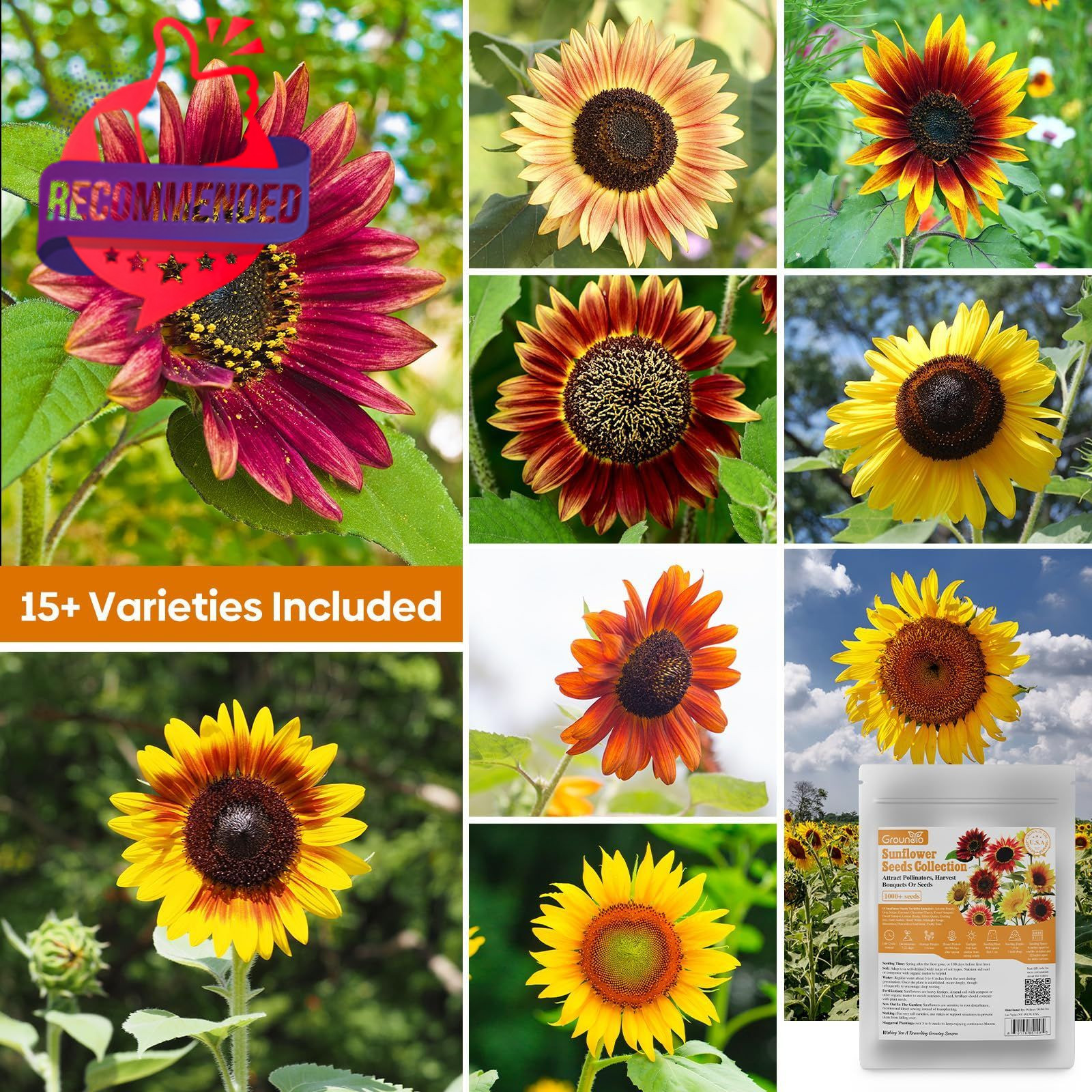 Sunflower Seeds Planting 15+ Varieties 1 Oz Mixed Colors Outdoor Garden Blooms