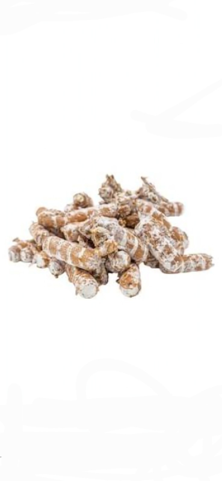 Chicken of the Woods Mushroom Spawn Plugs 200 ct