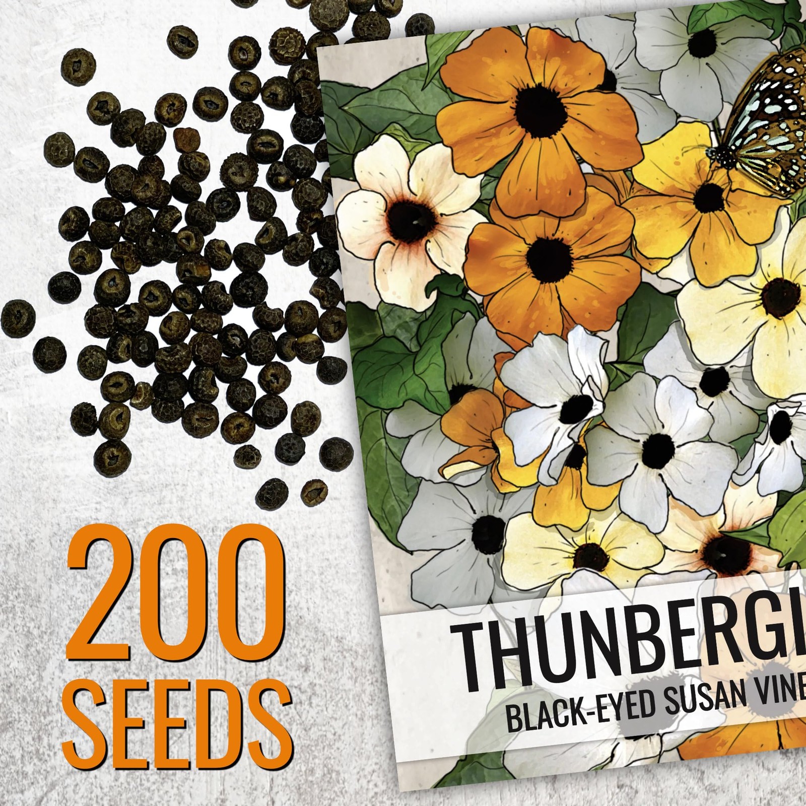 BlackEyed Susan Vine Seeds Heirloom Climbing Plants for Fences & Trellises
