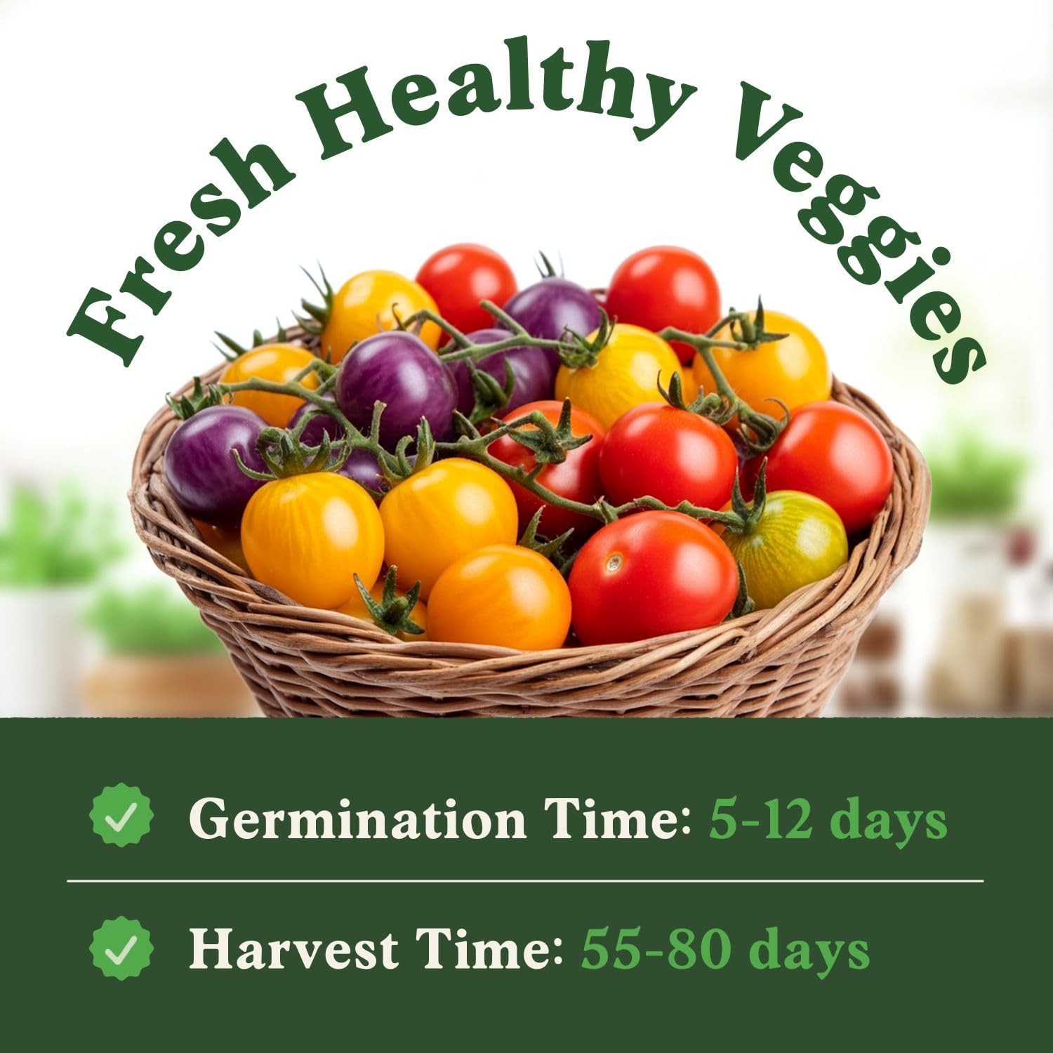 Rainbow Cherry Tomato Seeds for Planting Indoor Outdoor NonGMO Organic Vegetabl