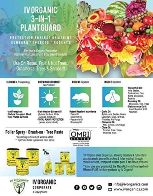 Natural 3 in 1 Plant Guard 1 Pint Green Organic Solution for Sunburn Protection
