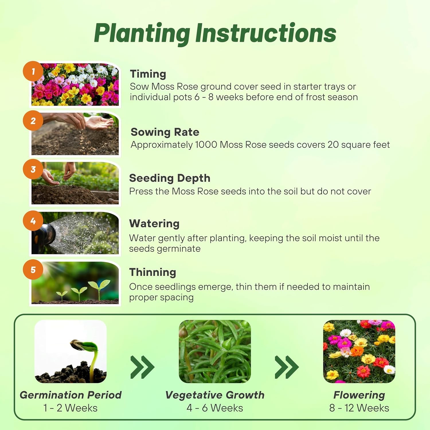 5000 Seeds Moss Rose Portulaca Seed Mix For Planting – Ground Cover Plant